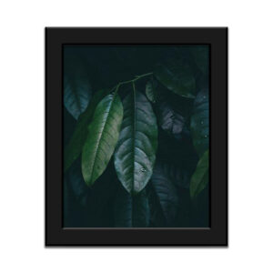 Framed Poster Black – Leaf Elegance